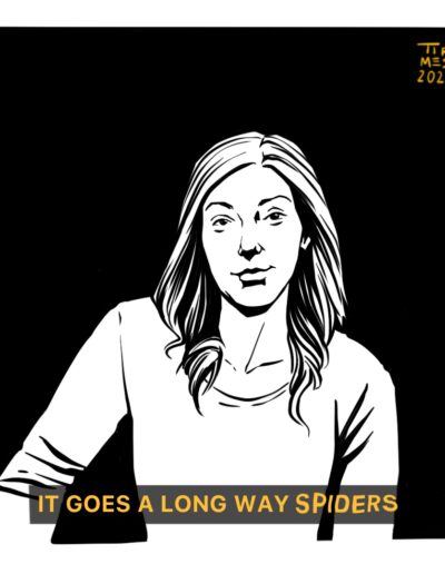 Day 2 spiders